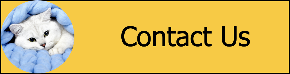 Eye care center for animals cheap